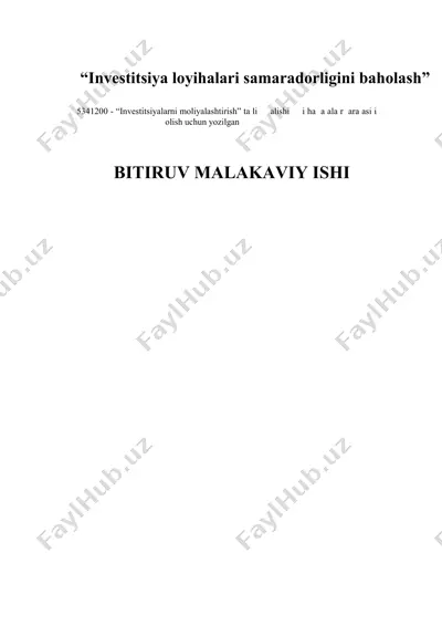 investitsiya loyihalari samaradorligini baholash — DOCX