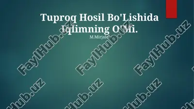 tuproq hosil bo'lishida iqlimning o'mi — PPTX