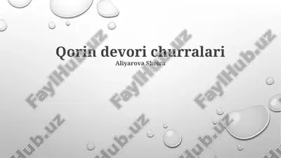 qorin devori churralari — PPTX