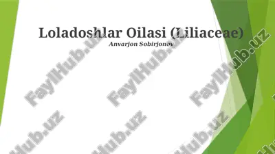 loladoshlar oilasi (liliaceae) — PPTX
