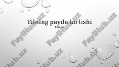 tilning paydo boʻlishi — PPTX