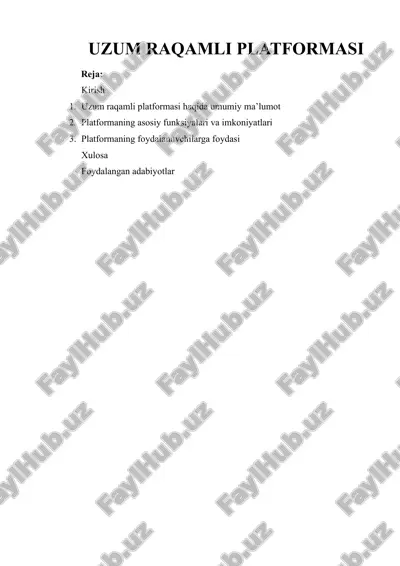 uzum raqamli platformasi — DOCX