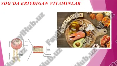 yog’da eriydigan vitaminlar — PPTX