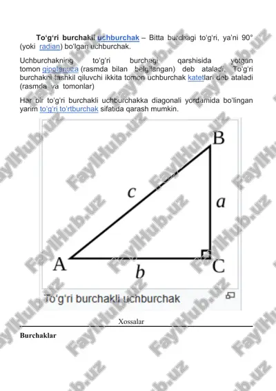 matematika to`g`ri uchburchak va uning turlari — DOCX