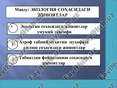 ekologiya sohasidagi jinoyatlar — PPTX