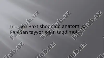 kekirdak,bronxlar,o’pka. ularning yoshga qarab o’zgarishi — PPTX