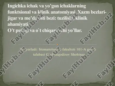 ingichka ichak va yo’gon ichaklarning funktsional va klinik anatomiyasi. xazm bezlari-jigar va me’da osti bezi: tuzilishi, klinik ahamiyati. o’t pufagi va o`t chiqaruvchi yo’llar. — PPTX