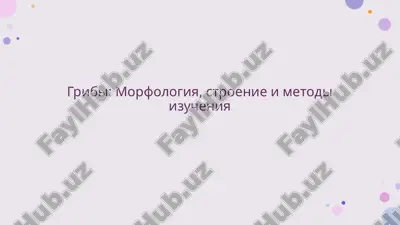 gribi: morfologiya, stroenie i metodi izucheniya — PPTX