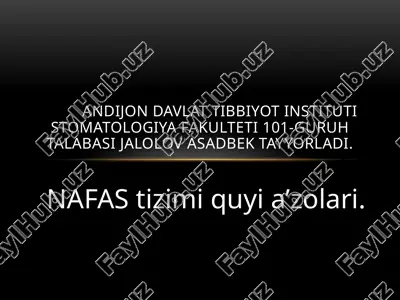 nafas tizimi quyi a’zolari. — PPTX