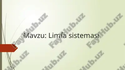 limfa sistemasi anatomiyasi — PPTX