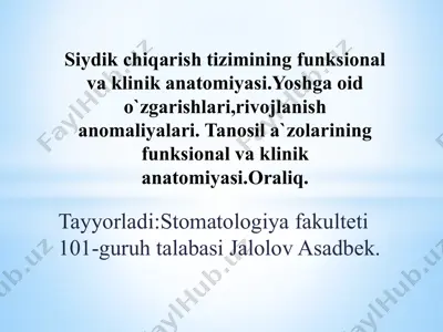 siydik chiqarish tizimining funksional va klinik anatomiyasi.yoshga oid o`zgarishlari,rivojlanish anomaliyalari. tanosil a`zolarining funksional va klinik anatomiyasi.oraliq. — PPTX