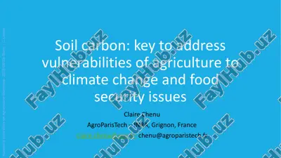 soil carbon: key to address vulnerabilities of agriculture to climate change and food security issues — PDF