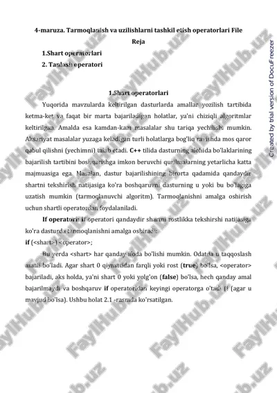 tarmoqlanish va uzilishlarni tashkil etish operatorlari — PDF