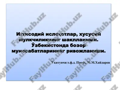 iqtisodiy islohotlar, xususiy mulkchilikning shakllanishi — PDF