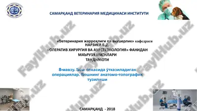 "operativ xirurgiya va anesteziologiya" — PDF