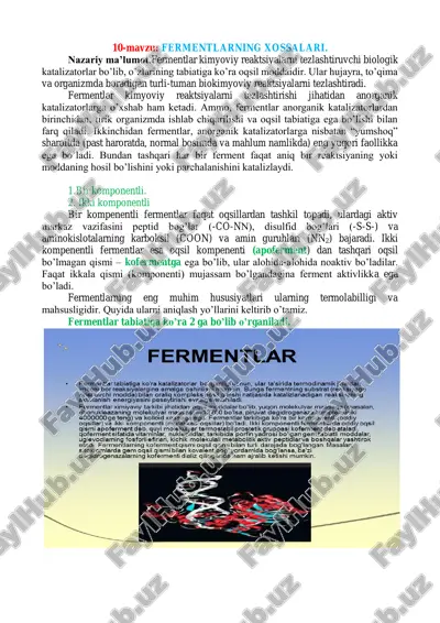 fermentlarning xossalari — PDF
