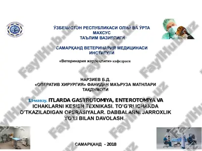 itlarda gastrotomiya, enterotomiya va ichaklarni kesish texnikasi. — PDF