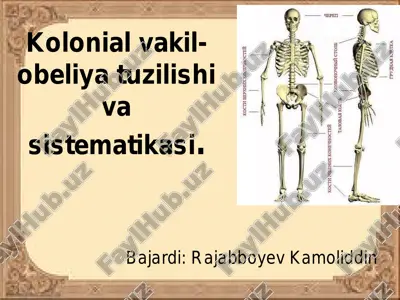 kolonial vakil-obeliya tuzilishi va sistematikasi — PDF