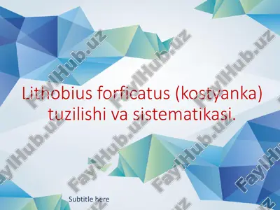 lithobius forficatus (kostyanka) tuzilishi va sistematikasi — PDF