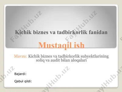 kichik biznes va tadbirkorlik subyektlarining soliq va audit bilan aloqalari — PPTX
