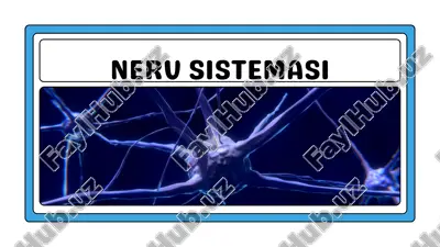 nerv sistemasi — PDF