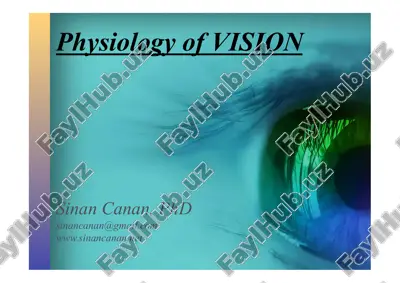 physiology of vision — PDF