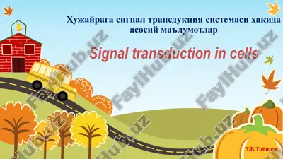 hujayra signalizatsiya jarayonlarida — PDF