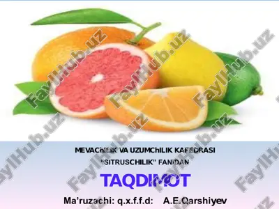 sitrus mevali daraxtlarni kesish va shakl berish — PDF