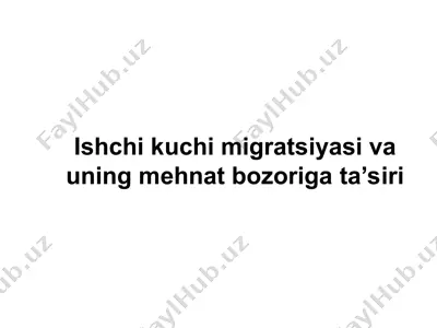 ishchi kuchi migratsiyasi va uning mehnat bozoriga ta’siri — PPT