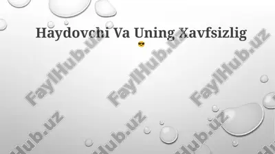 haydovchi va uning xavfsizlig — PPTX