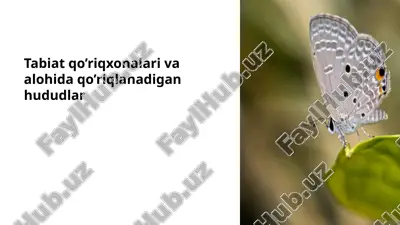 tabiat qo’riqxonalari va alohida qo’riqlanadigan hududlar — PPTX