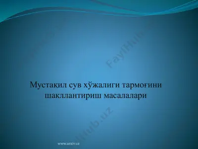 мустақил сув хўжалиги тармоғини шакллантириш масалалари — PPT