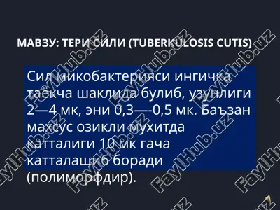 teri sili (tuberkulosis cutis) — PPTX