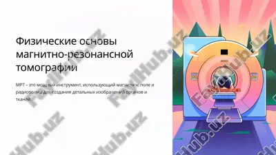 fizicheskie osnovi magnitno-rezonansnoy tomografii — PPTX
