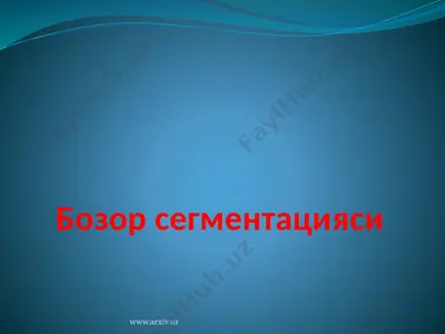 бозор сегментацияси — PPTX