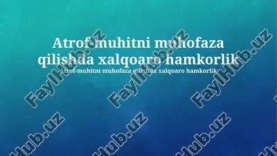 atrof-muhitni muhofaza qilishda xalqoaro hamkorlik — PPTX