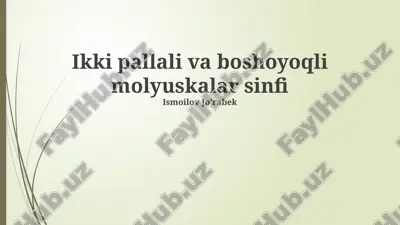 bivalviyalar va cephalopodlarning ekologik ahamiyati — PPTX