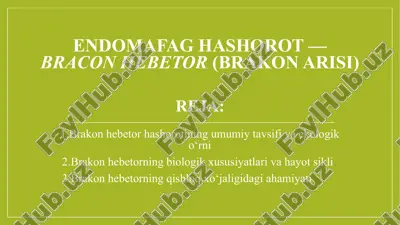 braconhebetor — PPTX