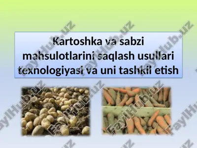 kartoshka va sabzimahsulotlarini saqlash usullari texnologiyasi va unitashkiletish — PPTX