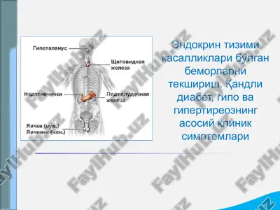 endokrin tizimi kasalliklari bo'lgan bemorlarni tekshirish. qandli diabet, gipo va gipertireozning asosiy klinik simptomlari — PPT