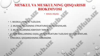 muskul va muskulning qisqarish biokimyosi — PPTX