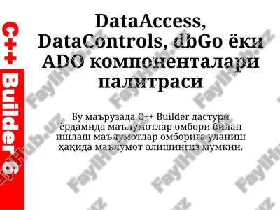 dataaccess, datacontrols, dbgo i ado komponentalari palitrasi — PPTX