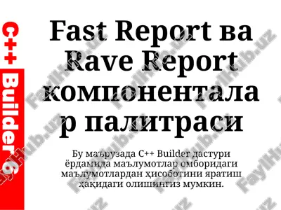 fastreport va rave report komponentalar palitrasi — PPTX