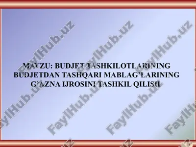 budjet tashkilotlarining budjetdan tashqari mablag’larining g’azna ijrosini tashkil qilish — PPTX