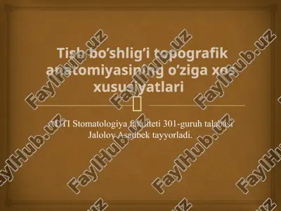 tish bo’shlig’i topografik anatomiyasining o’ziga xos xususiyatlari — PPTX