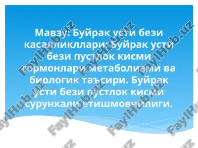 buyrak usti bezikasalliklari — PPTX