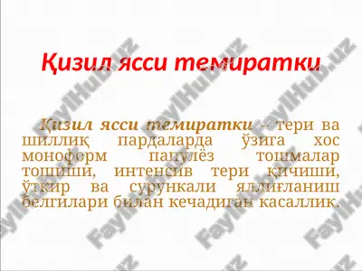 qizil yassi temiratki — PPTX