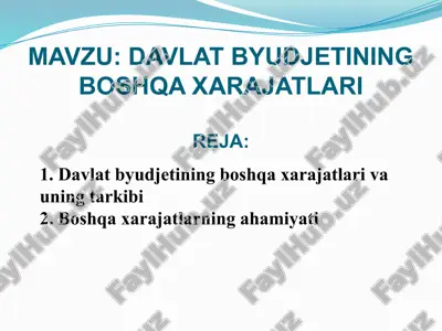 davlat byudjetining boshqa xarajatlari — PPTX