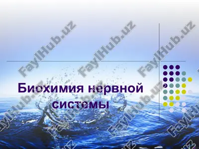 bioximiya nervnoy sistemi — PPTX