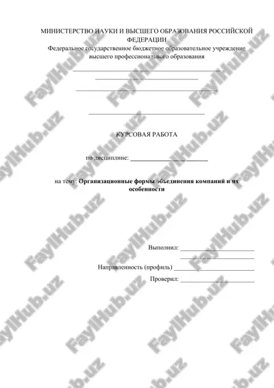 issledovanie form ob'edineniya kompaniy s analizom organizatsionnoy strukturi aliexpress i rekomendatsi — DOCX